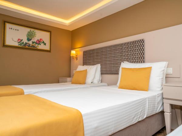 Topkapi Old City Kensington Hotel ISTANBUL : photo 1 de la chambre chambre triple