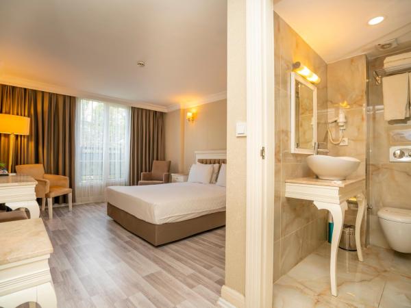 Topkapi Old City Kensington Hotel ISTANBUL : photo 2 de la chambre chambre simple