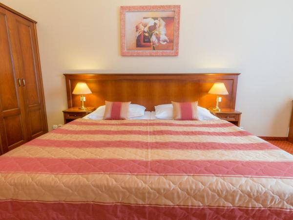 Ensana Centrální Lázně - Maria Spa : photo 6 de la chambre superior double or twin room with wellness and fitness access