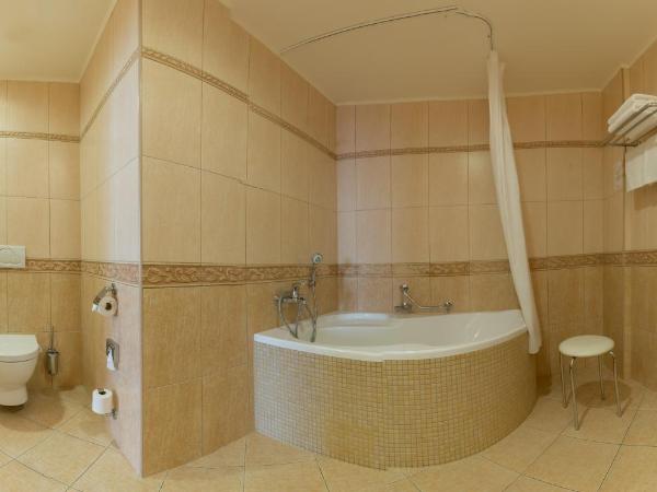 Ensana Centrální Lázně - Maria Spa : photo 3 de la chambre apartment with wellness and fitness access