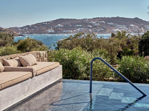 Mykonos Theoxenia, a member of Design Hotels : photo 1 de la chambre suite premium avec piscine privée - vue sur mer
