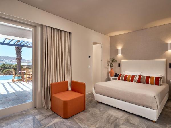 Mykonos Theoxenia, a member of Design Hotels : photo 5 de la chambre suite 2 chambres theoxenia avec piscine privée