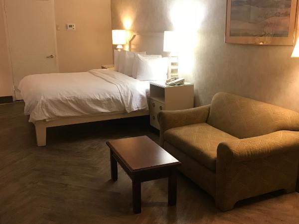 Hollywood Hotel : photo 3 de la chambre chambre standard lit king-size