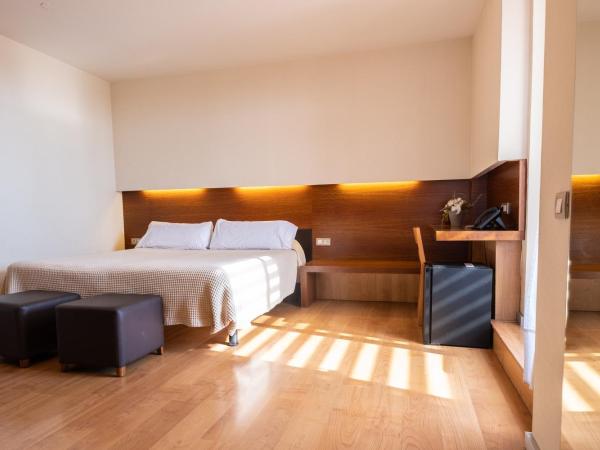 Hotel Turin Barcelona : photo 2 de la chambre chambre double ou lits jumeaux supérieure avec terrasse