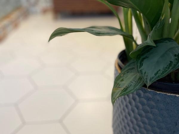 Flora House Denver : photo 7 de la chambre chambre lit queen-size - vue sur jardin