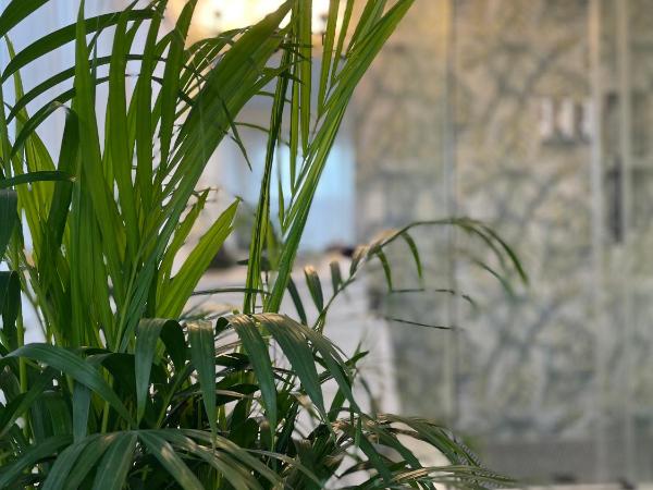 Flora House Denver : photo 7 de la chambre suite lit king-size