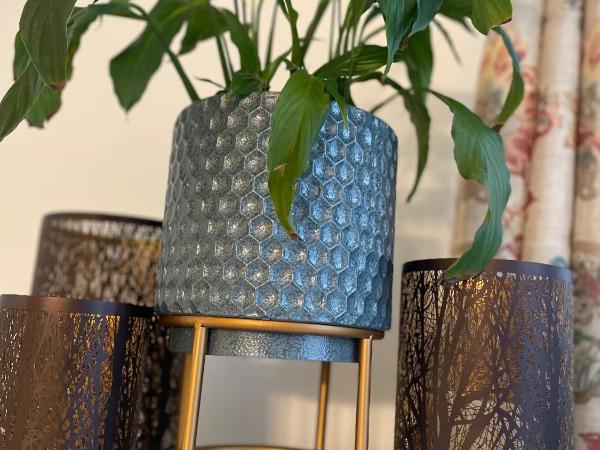 Flora House Denver : photo 8 de la chambre suite lit king-size