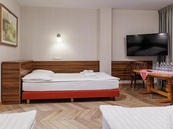 Leśne Patio : photo 2 de la chambre room with bathroom (5 adults)