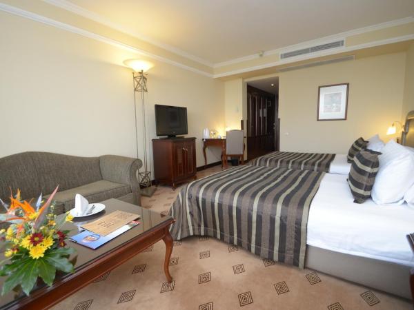 Karaca Hotel : photo 2 de la chambre chambre standard