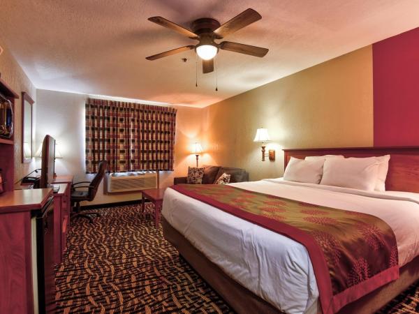 Ramada by Wyndham Oklahoma City Airport North : photo 5 de la chambre chambre lit king-size deluxe - non-fumeurs