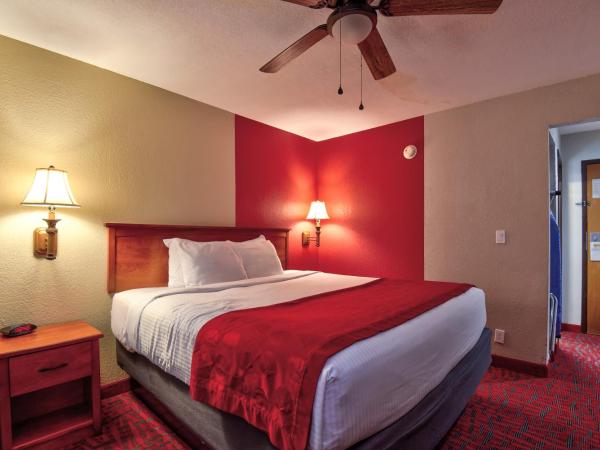 Ramada by Wyndham Oklahoma City Airport North : photo 8 de la chambre chambre lit king-size - non-fumeurs