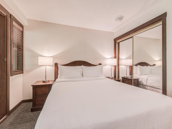 Blackcomb Springs Suites by CLIQUE : photo 4 de la chambre studio avec cuisine complète