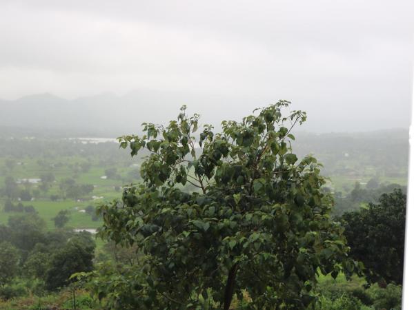 Shinde's Tikona Valley Farm : photo 4 de la chambre chambre familiale - vue sur lac