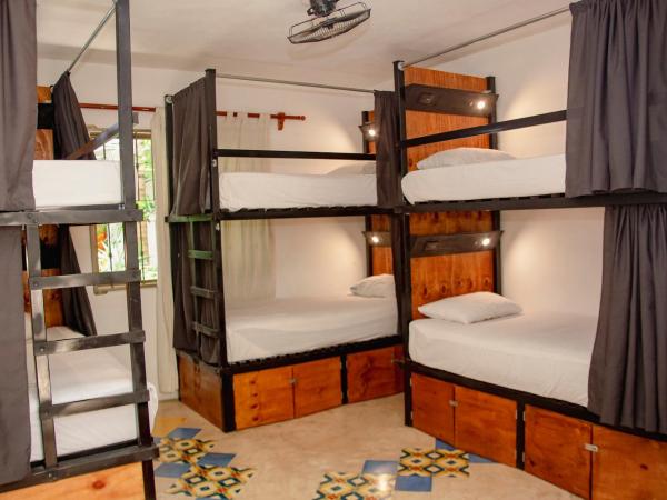 Che Nomadas Mérida Hostel Adults Only : photo 1 de la chambre lit dans dortoir mixte de 8 lits