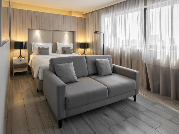 Radisson Blu Belo Horizonte Savassi : photo 1 de la chambre chambre double deluxe