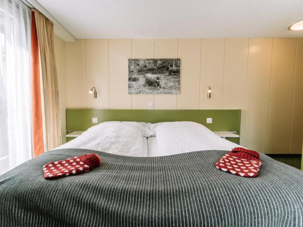 Hotel Les Amis : photo 6 de la chambre chambre double avec balcon