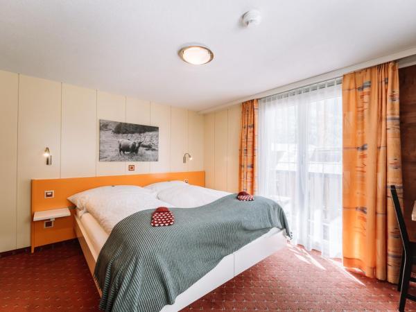 Hotel Les Amis : photo 6 de la chambre chambre double - côté sud