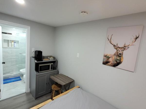 Guest House Basement - Master Bedrooms in Bayview Village : photo 5 de la chambre chambre lit queen-size
