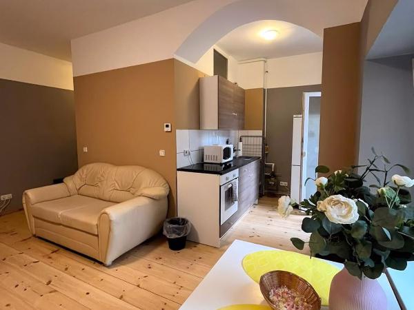 Thomas Apartments : photo 1 de la chambre appartement avec terrasse