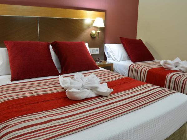 Hotel Regio 2 : photo 1 de la chambre chambre double avec lit d'appoint