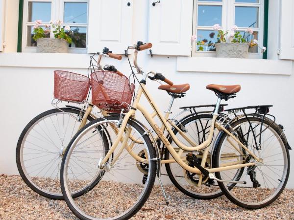 Vila Branca Guesthouse - Palacete : photo 3 de la chambre maison de vacances