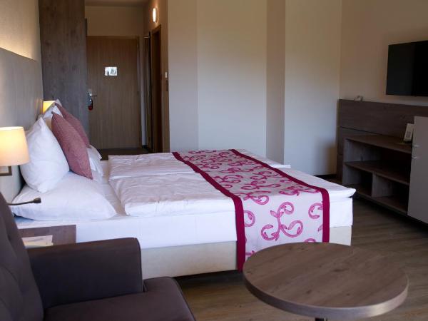 Hôtel des Vignes : photo 2 de la chambre chambre lit king-size - vue sur jardin