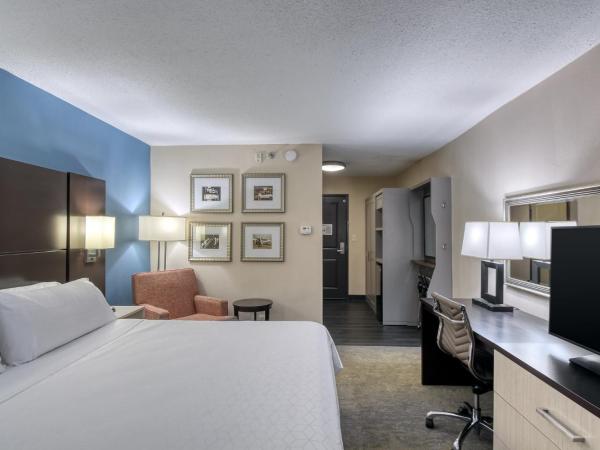 Holiday Inn & Suites Atlanta Airport North, an IHG Hotel : photo 4 de la chambre chambre lit king-size loisirs- non-fumeurs
