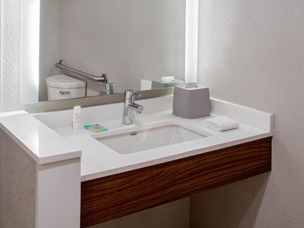 Holiday Inn Express New Orleans Downtown, an IHG Hotel : photo 1 de la chambre chambre lit king-size - accessible aux personnes à mobilité réduite / adapté aux malentendants