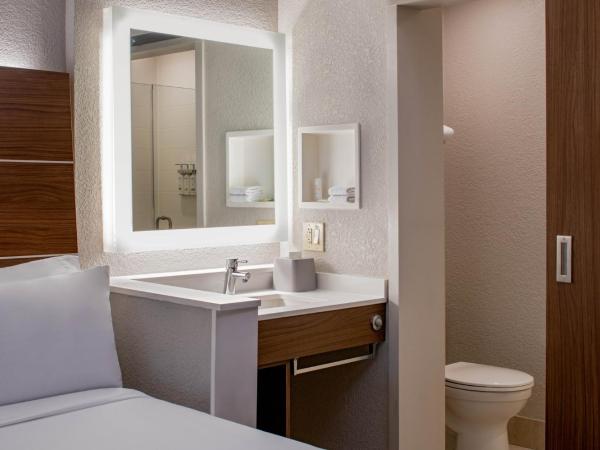 Holiday Inn Express New Orleans Downtown, an IHG Hotel : photo 1 de la chambre chambre standard