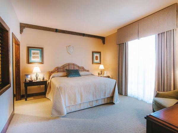 Hotel Viata : photo 1 de la chambre villa 1 chambre