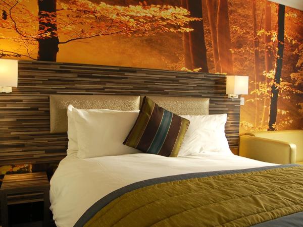 Diamond Lodge : photo 5 de la chambre chambre double