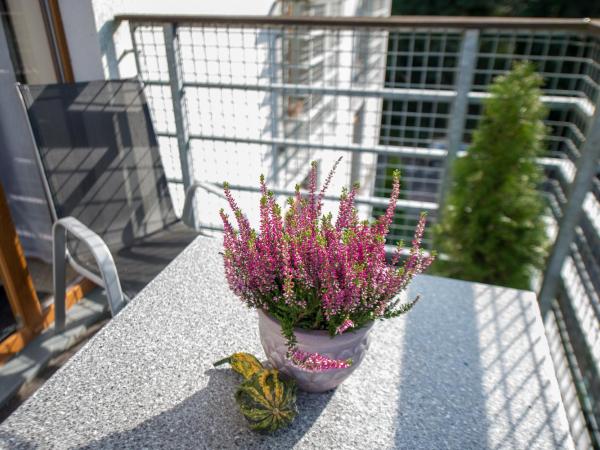 Rezydencja Familia : photo 7 de la chambre chambre triple classique