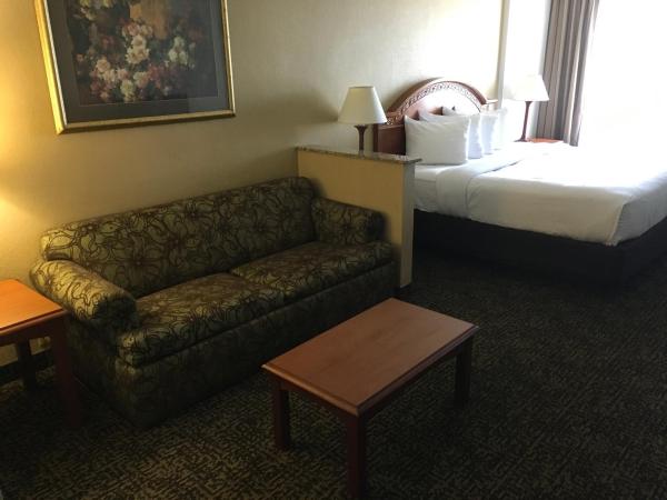 Quality Inn & Suites Winter Park Village Area : photo 8 de la chambre suite lit king-size avec jacuzzi - non-fumeurs