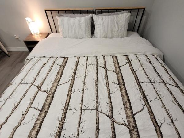 Guest House Basement - Master Bedrooms in Bayview Village : photo 4 de la chambre chambre lit king-size