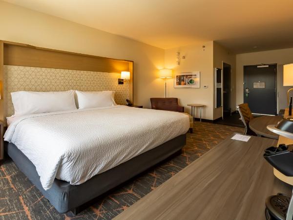 Hotel Spice & Sky Atlanta Perimeter : photo 4 de la chambre chambre lit king-size standard - non-fumeurs 