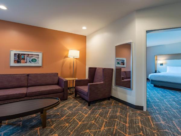 Hotel Spice & Sky Atlanta Perimeter : photo 2 de la chambre suite lit king-size – non-fumeurs
