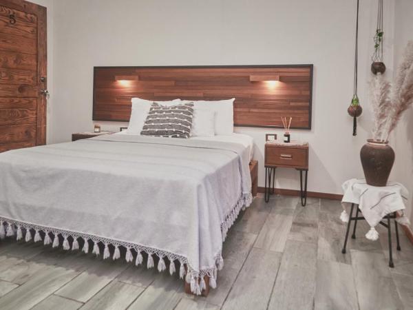 Hotel Boutique TerraNova : photo 7 de la chambre chambre lit queen-size deluxe