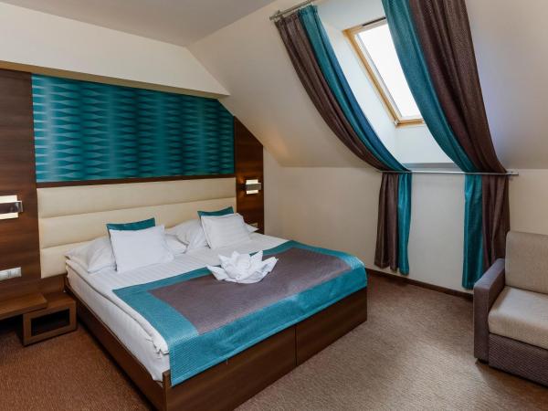 Hotel Villa Völgy Wellness & Konferencia : photo 1 de la chambre premier double room - attic