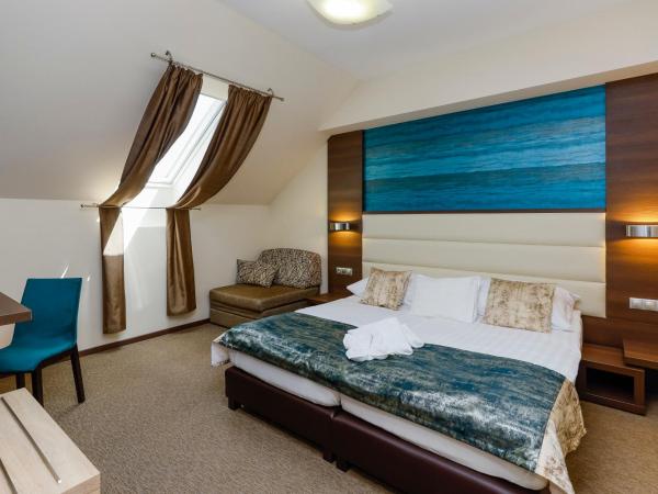Hotel Villa Völgy Wellness & Konferencia : photo 4 de la chambre chambre double supérieure mansardée