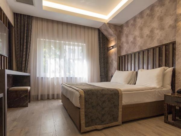 Ankara Royal Hotel : photo 7 de la chambre chambre double