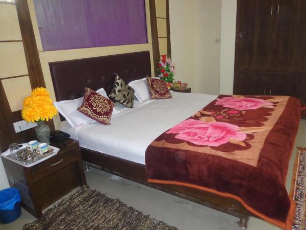 HOTEL DARPAN INTERNATIONAL -New Delhi Railway Station : photo 4 de la chambre chambre double avec salle de bains privative