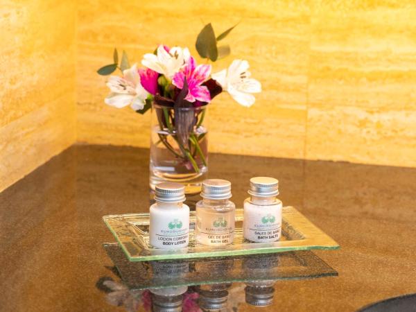 Eurobuilding Hotel Boutique Buenos Aires : photo 8 de la chambre suite