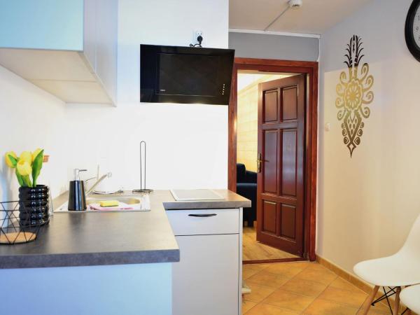 Czarna Willa : photo 4 de la chambre appartement en duplex