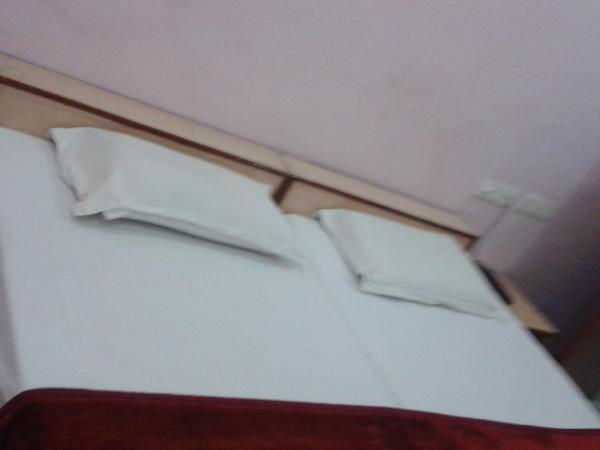 Hotel Sagar : photo 3 de la chambre chambre de luxe climatisée