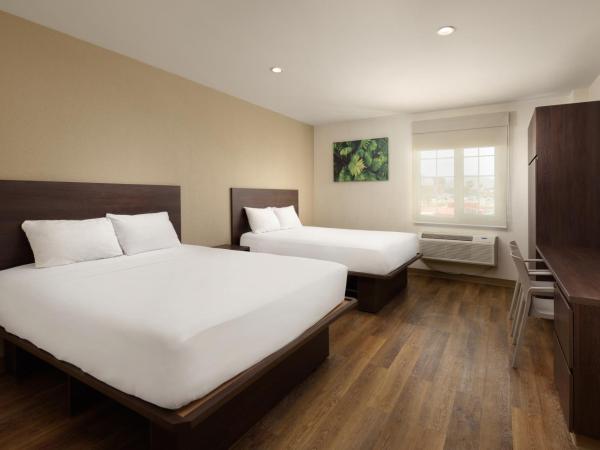 Extended Suites Queretaro Juriquilla : photo 2 de la chambre suite lit queen-size