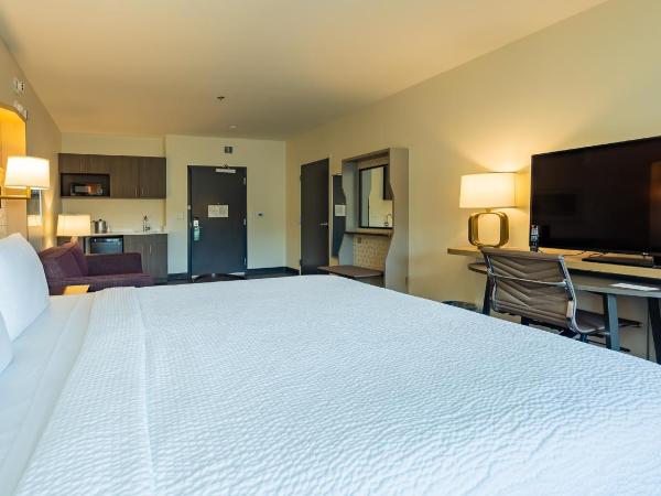 Hotel Spice & Sky Atlanta Perimeter : photo 2 de la chambre chambre lit king-size standard - non-fumeurs 