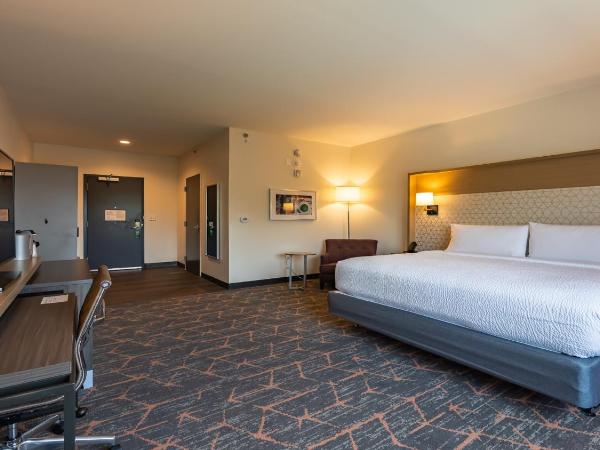 Hotel Spice & Sky Atlanta Perimeter : photo 4 de la chambre chambre lit king-size - adaptée aux personnes malentendantes/non-fumeurs 