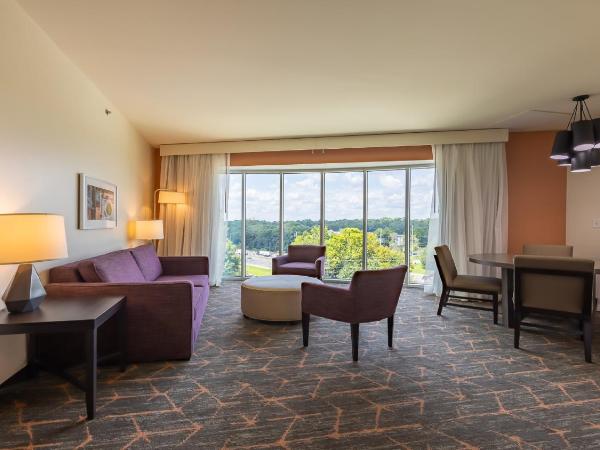 Hotel Spice & Sky Atlanta Perimeter : photo 7 de la chambre suite lit king-size avec balcon