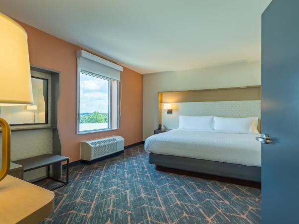 Hotel Spice & Sky Atlanta Perimeter : photo 2 de la chambre suite avec lit king-size - adaptée aux personnes malentendantes - non-fumeurs