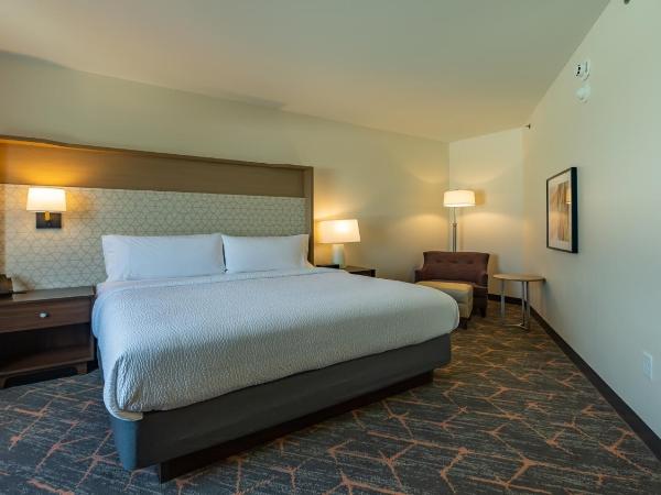 Hotel Spice & Sky Atlanta Perimeter : photo 4 de la chambre suite lit king-size – non-fumeurs